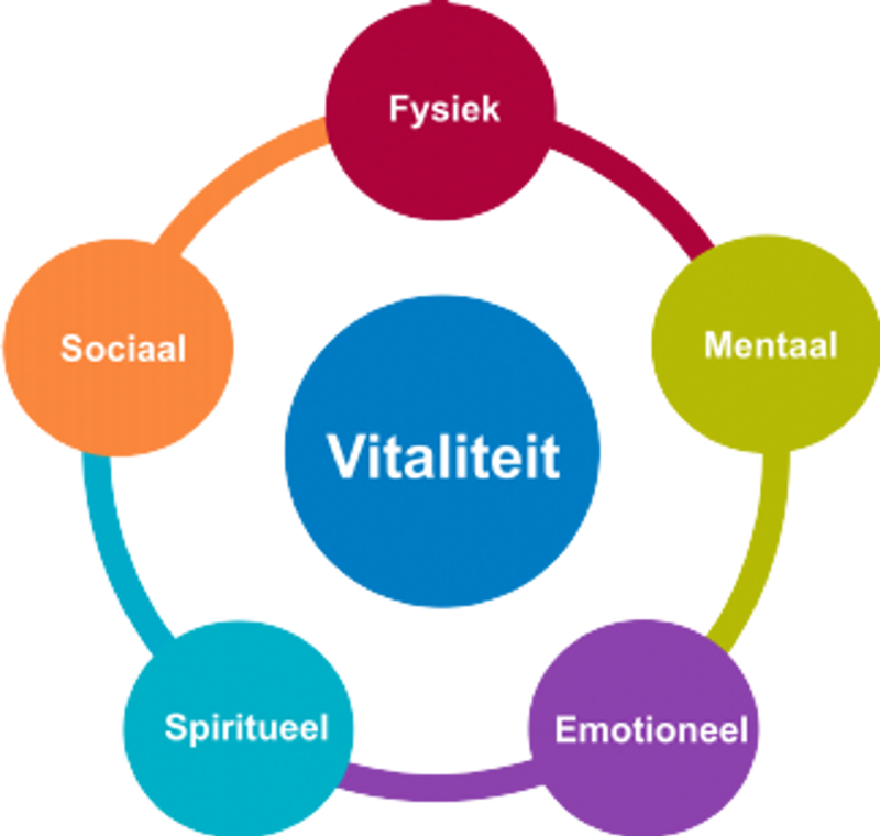 Vitaliteitinorganisaties